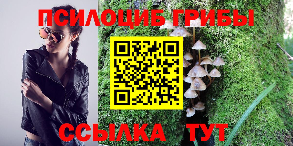 Псилоцибиновые грибы прущие грибы Татарск