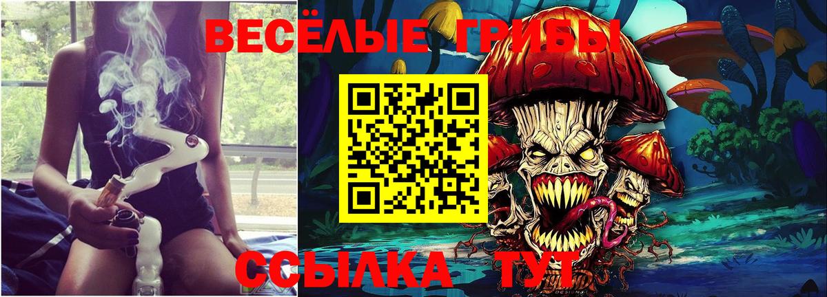 Татарск  Галлюциногенные грибы Psilocybe  Вход с VPN  Галлюциногенные грибы Psilocybine cubensis 